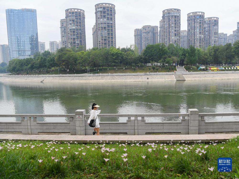 百家乐什么是完美对子